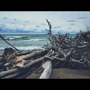 Meet your Posher, Derek